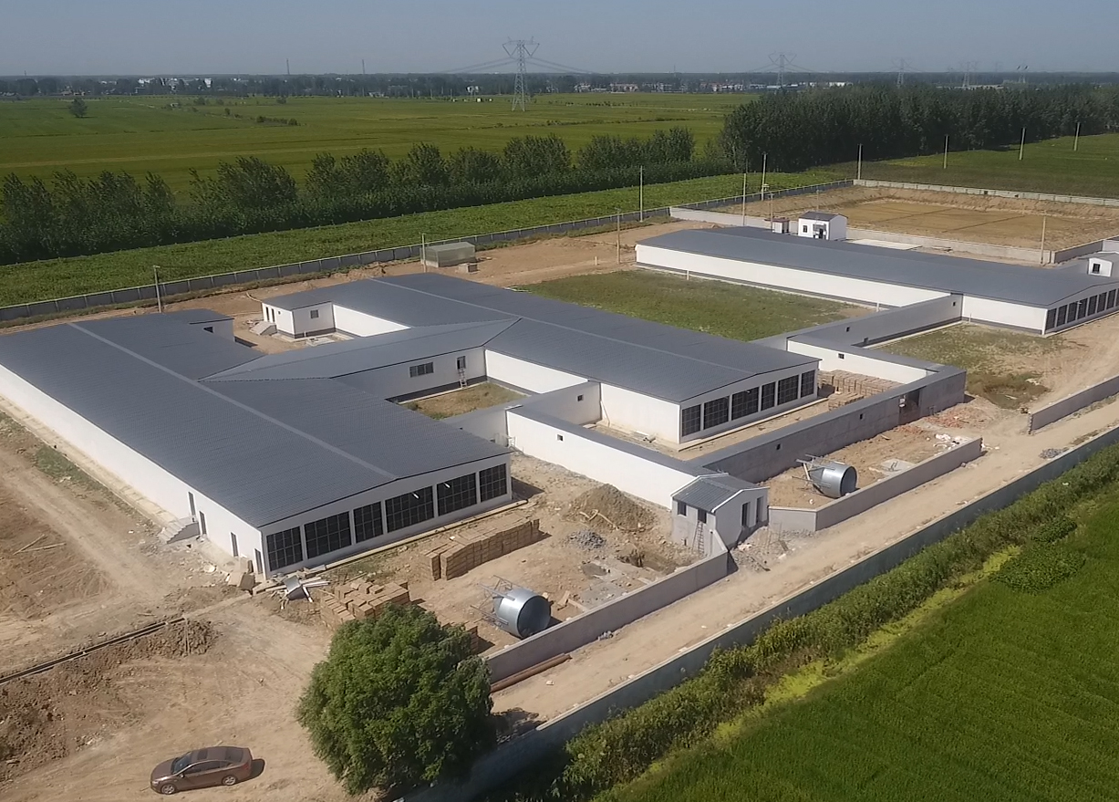 潔斐然Antibio系統(tǒng)-灌云公豬站空氣過濾