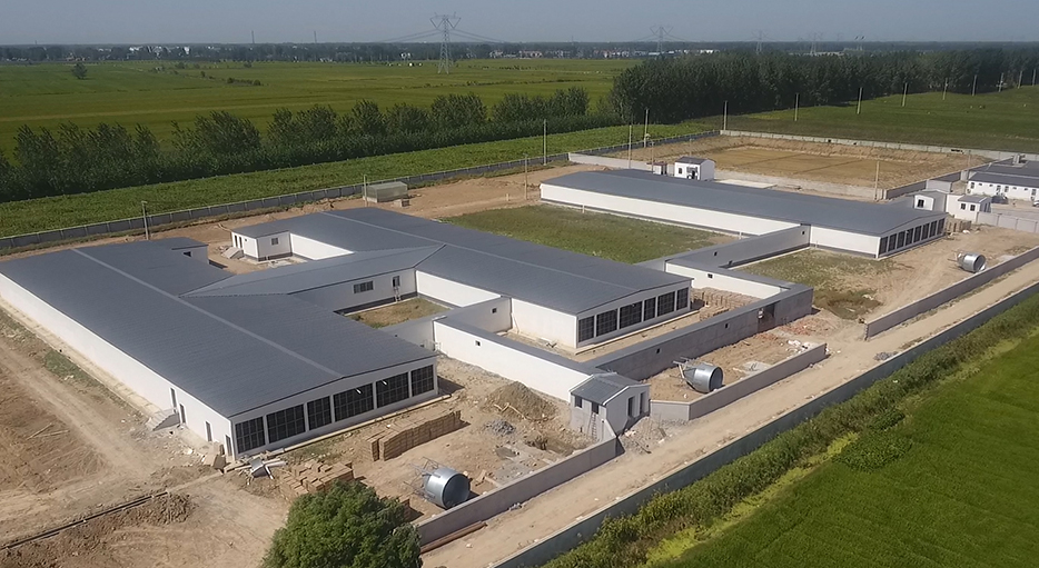 鳥瞰建設中的灌云公豬站Antibio系統(tǒng)。