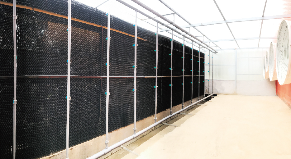 樓房養(yǎng)豬空氣過濾系統(tǒng)+除臭系統(tǒng)一體化解決方案 （除臭系統(tǒng)）